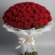 Букет 101 Красная роза Блэк Мэджик в Нюксенице