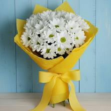 Букет цветов из:  Хризантемы в Нюксенице