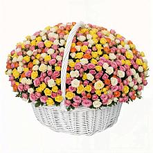 Премиум букет из: Розы в Нюксенице