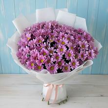 Букет цветов из:  Хризантемы в Нюксенице