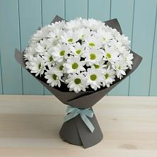 Букет цветов из:  Хризантемы в Нюксенице