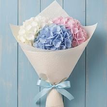 Букет цветов из:  Гортензия в Нюксенице