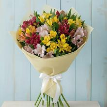 Букет цветов из:  Альстромерии #REPLACE_PRED# Нюксенице