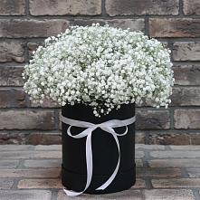 Цветочная композиция из Гипсофила в шляпной коробке в Нюксенице
