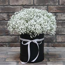 Цветочная композиция из Гипсофила в шляпной коробке в Нюксенице